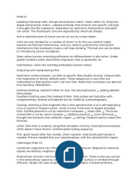 Samenvatting Molecular Biology of the cell (Alberts et al.) (hoofdstuk 8, 15, 17, 18 en 20)