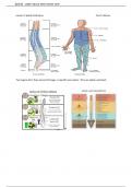 Spinal  code injury test exam one with pictures