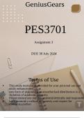 PES3701 Assignment 3 DUE 30 July 2024