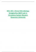 BIOL 202 L Clinical Microbiology Straigherline A&P2 Lab 11  Circulatory System Western  Governors University