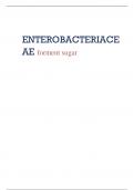 Lec  2 WITH NOTES Identification of Enterobacteriaceae