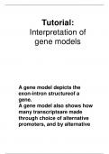 Tutorial interpretation of gene models