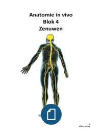 Hele complete samenvatting van de anatomie blok 4(1.4)