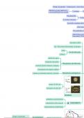 S3 Mapa mental AMEBAS - PARASITOLOGÍA