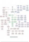 Mindmap - Sociale psychologie (autoriteit)