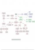 Mindmap - Sociale psychologie (groepsgedrag) (1/2)