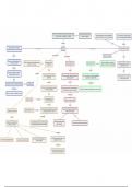 Mindmap - Sociale psychologie (arousal)