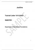  Tutorial Letter 101/0/2023  SAE3701    Department of Educational Foundations