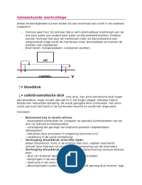 Geneeskunde werkcolleges