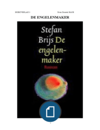 boekverslag de engelenmaker 