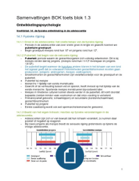 BOK lesgeven VO & Onderzoek (Blok 1.3)