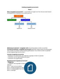 Burgerlijk procesrecht, Goederenrecht, Verbintenissenrecht P2