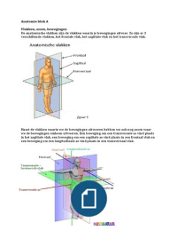 Bundle Doc Image