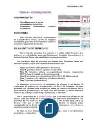 Tema 6 - Citoesqueleto (Citología e Histología)