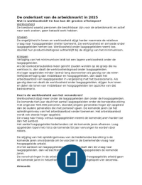 Samenvatting Artikel: Onderkant van de arbeidsmarkt