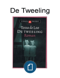Boekverslag De Tweeling, Van Loo