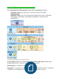 Immunologie - Biomedische Wetenschappen UvA, 2e jaar