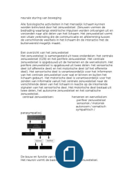 Inspannings- en sportfysiologie samenvatting geheel, ALO