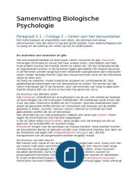 Samenvatting Biologische Psychologie