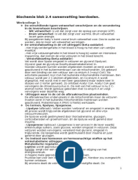 Biochemie samenvatting blok 2.4