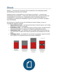 Samenvatting Shock