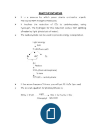 Photosynthesis