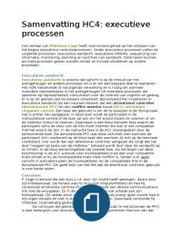 Uitgebreide samenvatting over executieve processen 