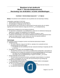 Samenvatting bewijzen in het strafrecht