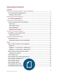 Orthopedische Beperkingen + Anatomie B + Anatomie B flashcards