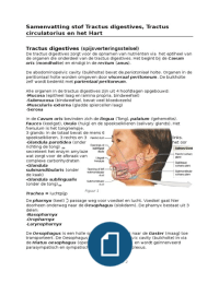 Samenvatting Tractus digestivus, Hart en bloedvatenstelsel compleet 