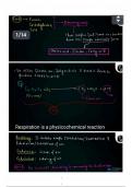 NEET Breathing and Exchange of Gases notes