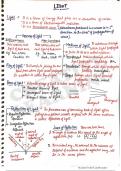 CBSE, LIGHT- REFLRCTION AND REFRACTION OF LIGHT FOR CLASS 10