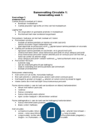 Samenvatting Circulatie I