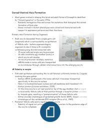 BIOL2010 LT5 Dorsal-Ventral Axis Formation