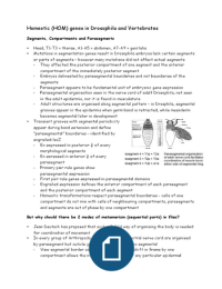 BIOL2010 LT6 Homeotic Genes