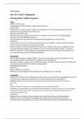 NUR 513 Topic 2 Assignment: Nursing Roles Graphic Organizer/Grand Canyon University
