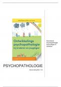 Samenvatting van de ontwikkelingspsychopathologie bij kinderen en jongeren