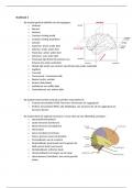 Samenvatting anatomie en neurologie - Afasie, dysarthrie, dysfagie (GLO-2AB-ADD-21)