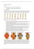 Kennistoets Pathologie Ortho 2: College uitwerking