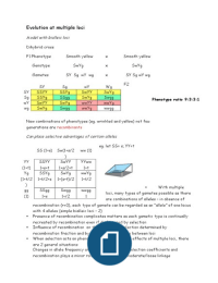 LT5 Evolution at Multiple Loci