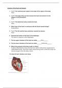 BIOD 152 AP Mod 4 Questions: Anatomy of the Heart and Vessels SUMMER 2024