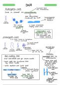 The best A - level Biology notes  (AQA) Topic 4