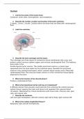 BIOD 152 AP Module 2 Questions and answers: The Brain SUMMER 2024