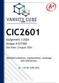 CIC2601 Assignment 3 (DETAILED ANSWERS) 2024 - DISTINCTION GUARANTEED