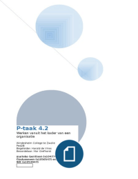 P-taak 4.2 werken vanuit het kader van een organisatie