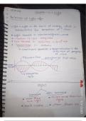 class10th physics chapter1st 2024