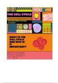 The cell cycle and how its disruption can lead to cancer