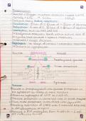 Unit 5 energy transfers a level biology 