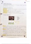 Unit 6 stimulus and response a level biology 