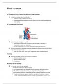 Dé bloedsomloop samenvatting